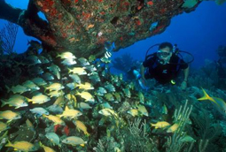 Scuba Certification in Huatulco Mexico